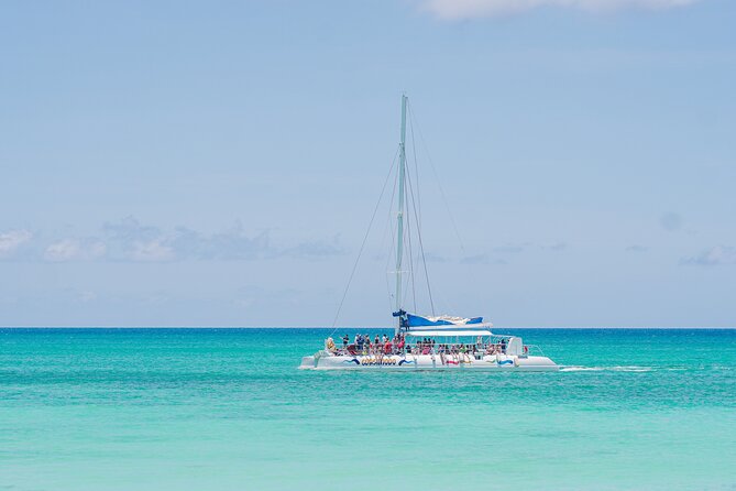 Saona Island Summer - Review Highlights