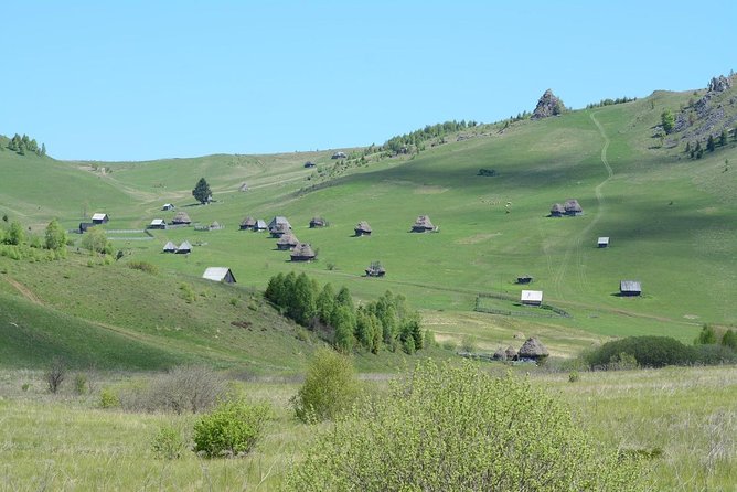 Scarita-Belioara Private Hiking Tour From Cluj  - Cluj-Napoca - Booking and Planning Recommendations