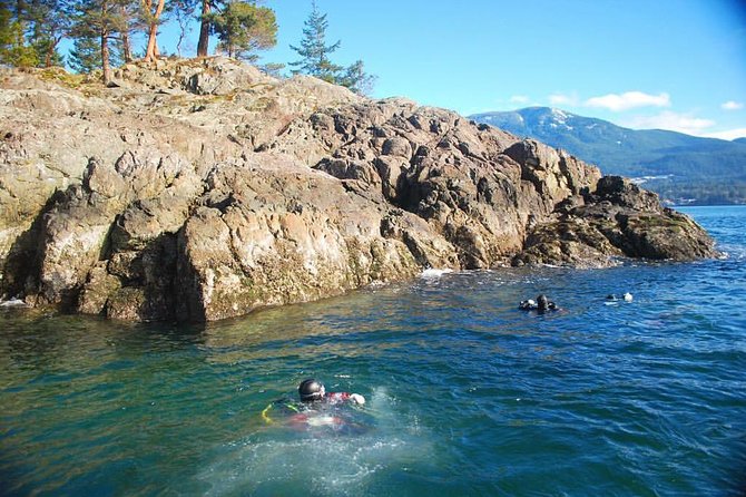 Scuba Dive Boat Charter in Vancouver (Certified Divers Only!) - Additional Activities for Non-Divers