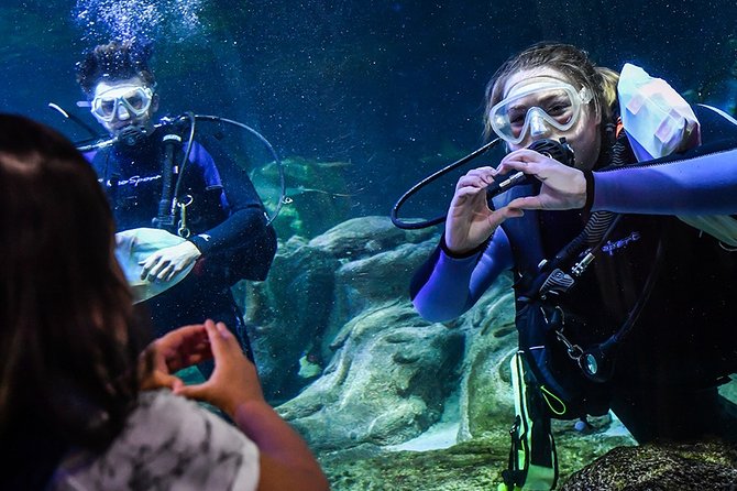 SEA LIFE Aquarium Arizona Admission Ticket - Booking and Refund Policies