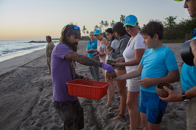 Sea Turtle Release in Puerto Vallarta - Booking and Tour Information