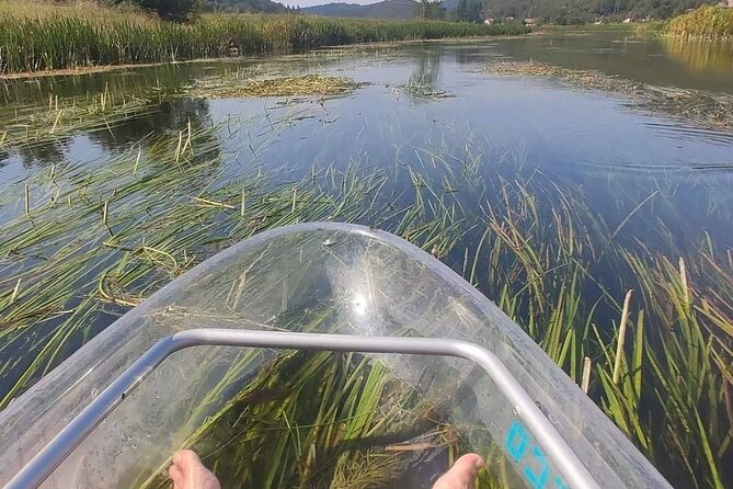 See Through Kayaks on Gacka River - Booking and Cancellation