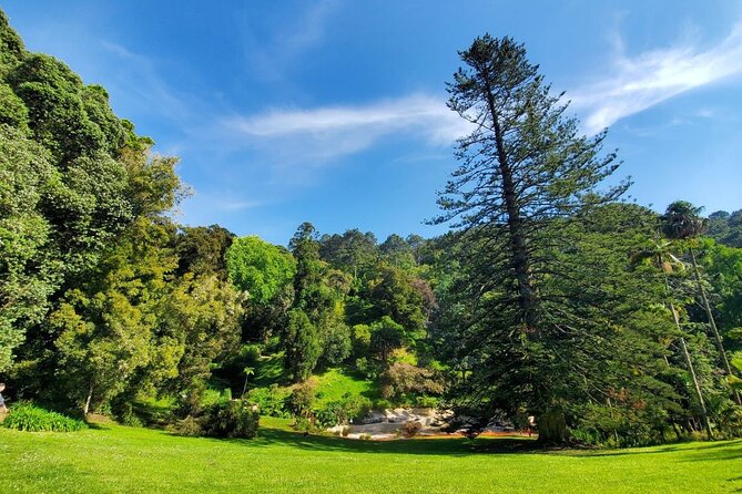 Self-Drive Tour - Quinta Da Regaleira & Monserrate - Ratings and Reviews
