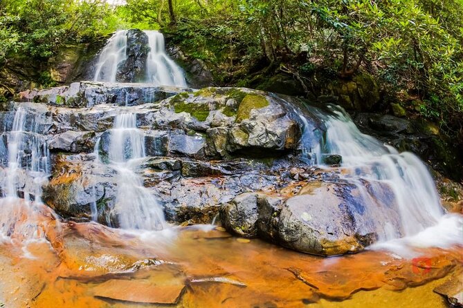 Self-Guided Audio Driving Tour in Great Smoky Mountains - Recommended Trails and Sights