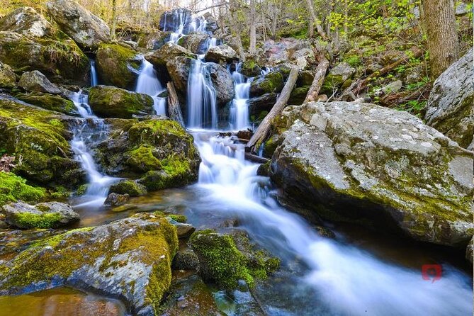 Self-Guided Audio Driving Tour in Shenandoah National Park - Journey Planning and Support