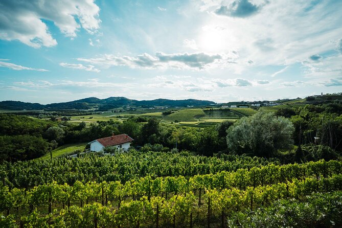 Self-Guided Bike Tour in Slovenia - Company Background