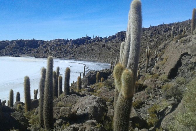 Semi-Private: 3-Day Uyuni Salt Flats and Colored Lagoons W/ Private Hotel - Day 3: Departure