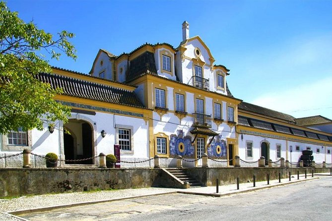 Setubal Winery Private Tour Including Lunch at Sesimbra Beach - Travelers Experiences and Highlights