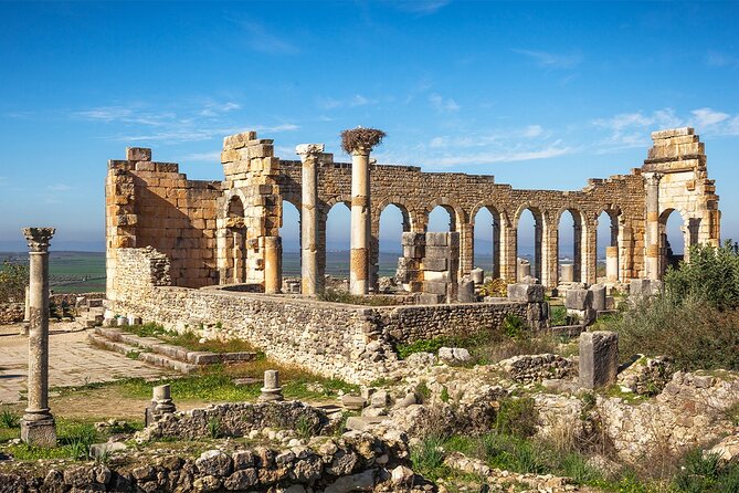 Shared Day Trip From Volubilis, Moulay Idriss and Meknes - Traveler Reviews