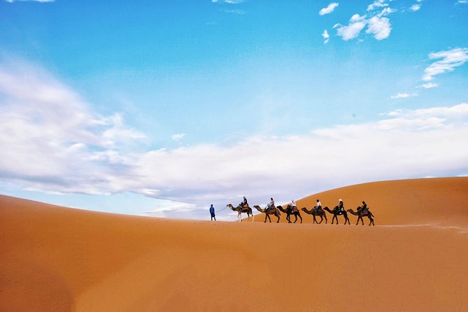 Shared Group Fez To Marrakech via Merzouga Desert Tour 2 Days - Customer Reviews and Ratings