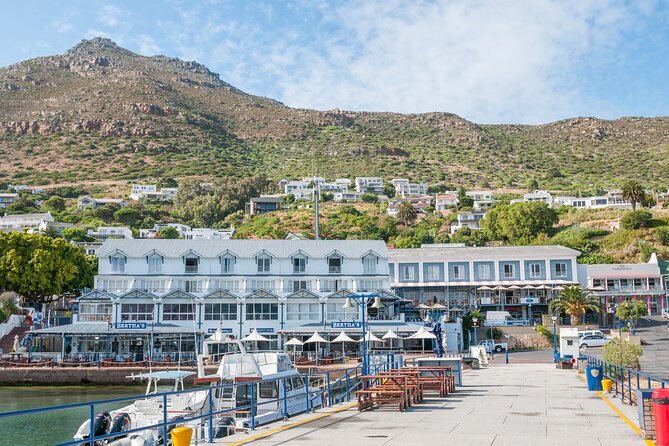 Shared Half Day Tour in Cape Peninsula With African Penguins - Frequently Asked Questions
