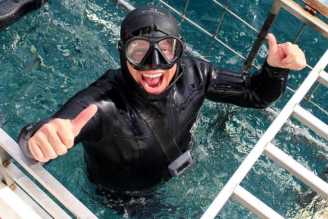 Shark Cage Diving and Viewing With Transport From Hermanus - Preparing for the Adventure