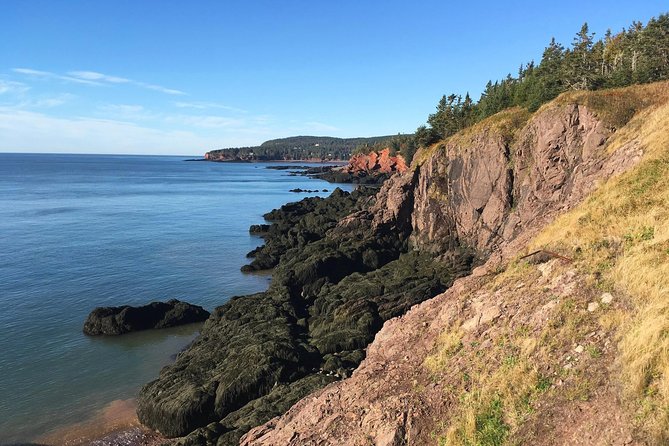 Shore Tours - Tour Itinerary
