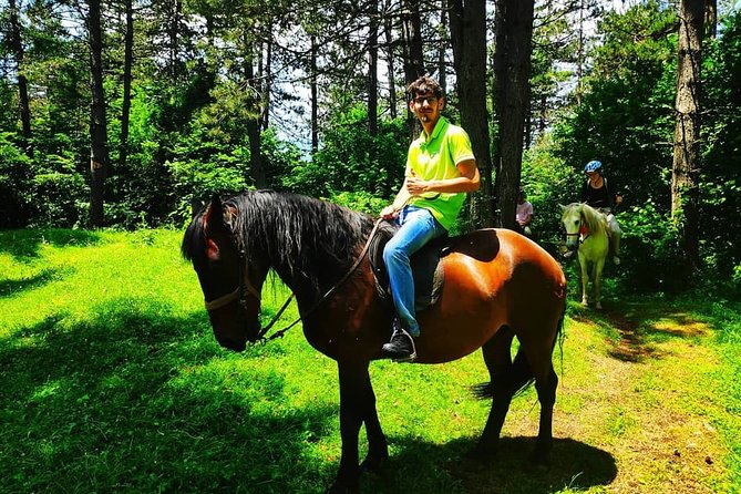 Short Horseback Riding - Kolasin - Accommodations and Return