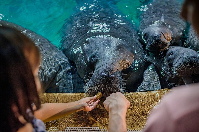 Singapore: River Wonders Entry Ticket - Visitor Reviews and Feedback