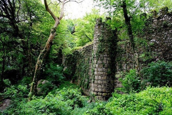 Sintra and Cascais Semi-Private Tour : Let Us Put Sintra in Your Heart - Tips for Travelers
