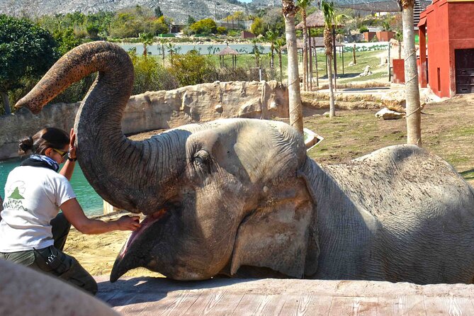 Skip the Line: Terra Natura Benidorm Entrance Ticket - Additional Information