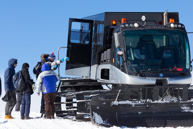 Skip the Queue: Mount Etna Cable Car Excursion With 4x4 Option  - Catania - Safety Considerations and Medical Conditions