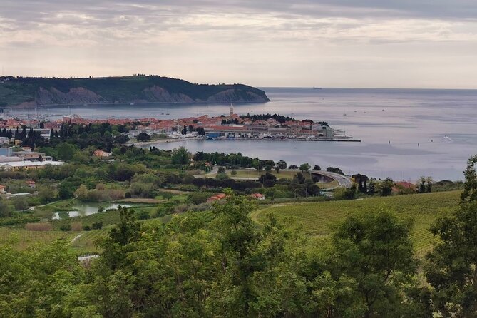 Slovenian Coast Koper, Izola, Piran - Parenzana Electric Biking Tour From Koper - The Sum Up