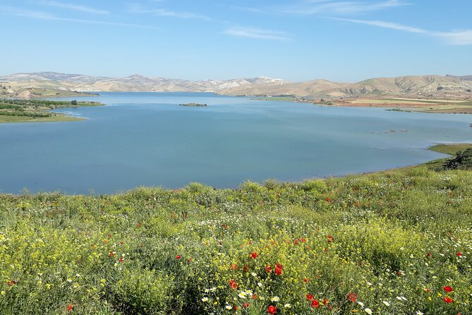 Small-Group Full-Day Meknes, Volubilis and Moulay Idriss Zerhoun Tour From Fez - Tips for Travelers