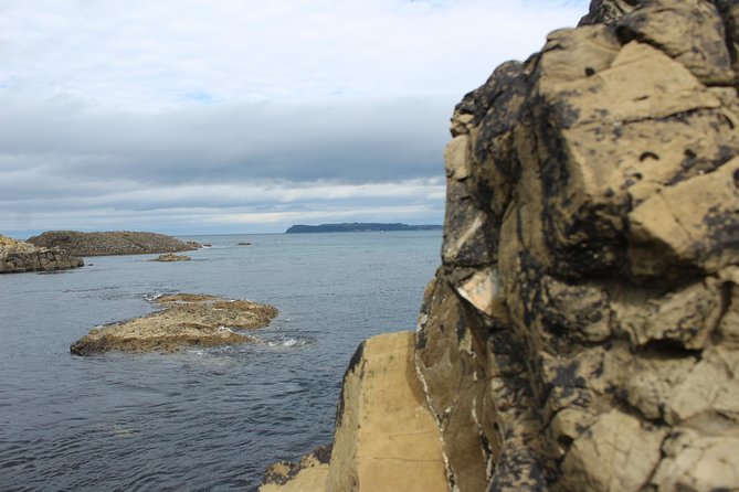 Small Group Giants Causeway Day Tour From Belfast - Pricing and Booking