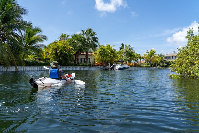Small Group Glass Bottom Kayak Adventure- Cayman Islands - Exploring the Underwater Wonders