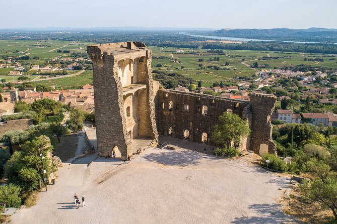Small Group Marseille Shore Excursion : Avignon & Chateauneuf Du Pape Wine Tour - Cruise Ship Cancellations