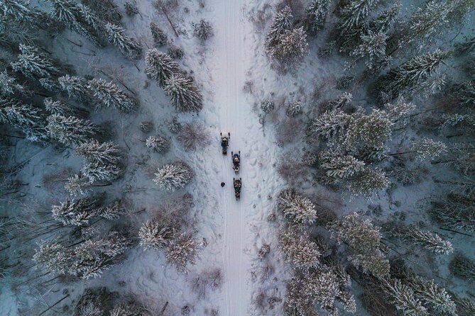 Small-Group Snowmobile Experience in Rovaniemi - Safety and Accessibility Considerations