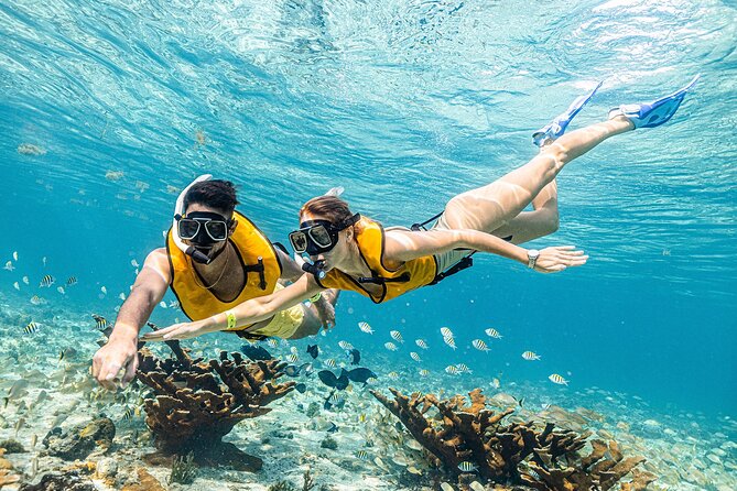 Snorkel in Cancun: With Turtles, Shipwreck, Cenote, and Reef - Guided Tour and Safety Measures