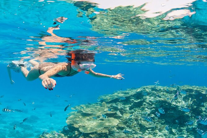 Snorkeling Day in White Island and Ras Mohamed - Recommendations for Adventurers