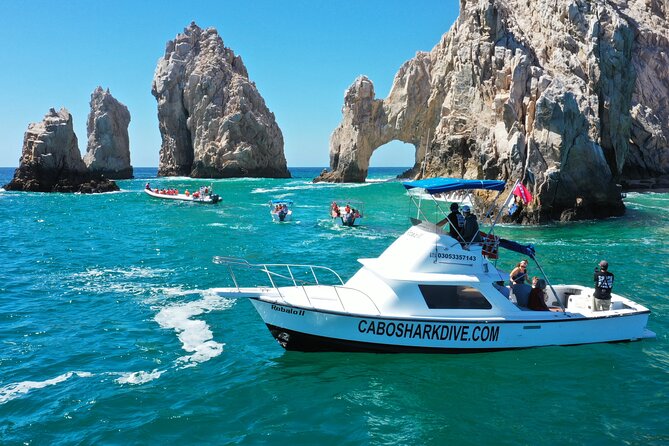 Snorkeling or Swimming With Sharks in Cabo San Lucas - Memorable Marine Encounters