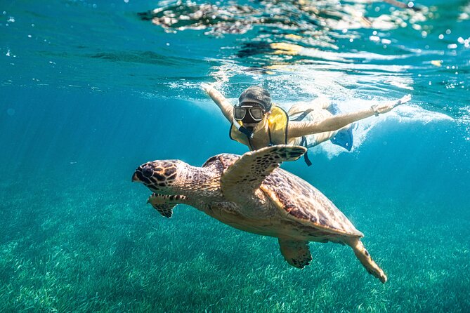Snorkeling, Parasail and Jet Ski - Safety and Participation