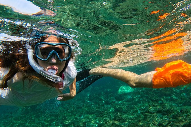 Snorkeling With Turtles in Fujairah With BBQ Lunch - Host Response to Feedback