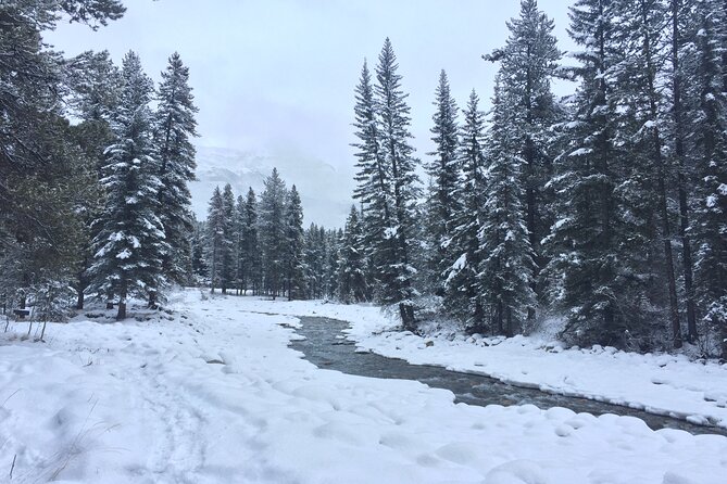 Snow Fun&Hot Springs 1-Day Tour From Calgary/Banff (Small Group) - Thrilling Tubing Adventure