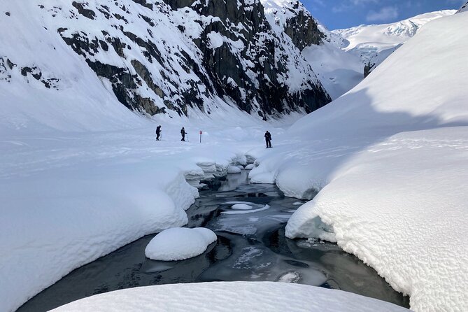 Snowmobile and Snowshoe Dual Adventure in Kenai Fjords NP - Safety Considerations
