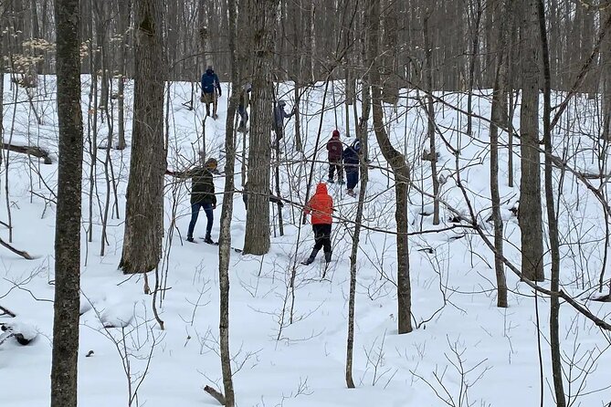 Snowshoe Awenda Provincial Park on Beautiful Georgian Bay - Frequently Asked Questions