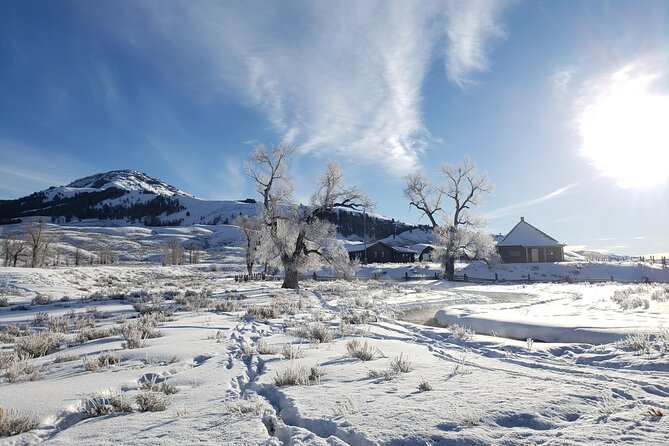 Snowshoe or XC Ski in North Yellowstone (Half Day) - Explore North Yellowstone