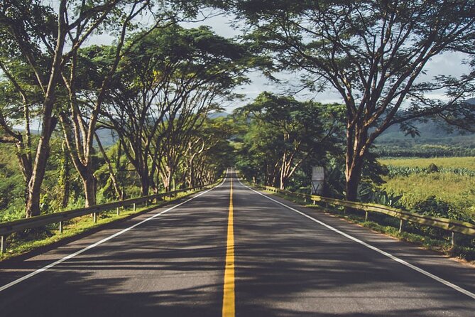 South of Mauritius : LYCHEE WINE Tasting & Tea Route With Lunch - Frequently Asked Questions