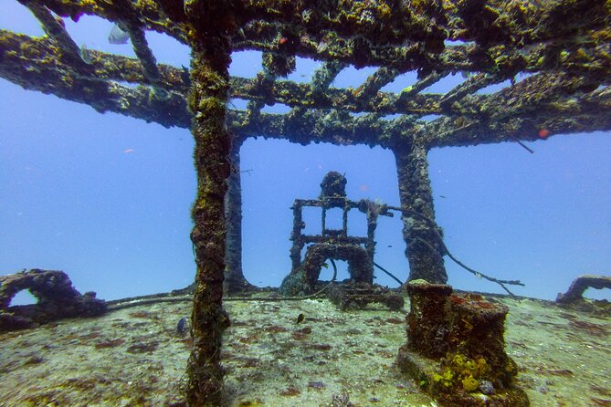 Special!! 2 Tank Wreck & Drift Reef Dives - Highlights of Drift Reef Dive