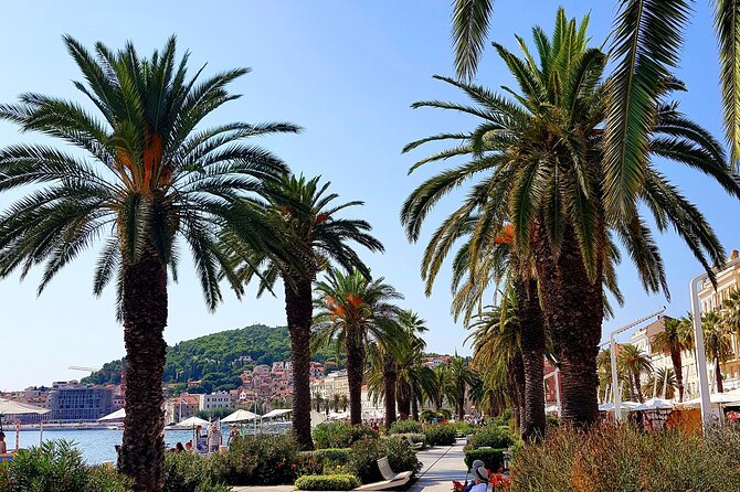 Split and Ston Private Tour - Planning Your Croatia Adventure