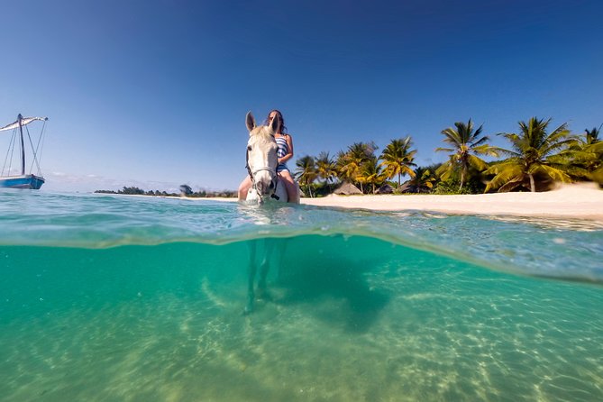 Standard Ride: Beach & Bush - Traveler Experiences