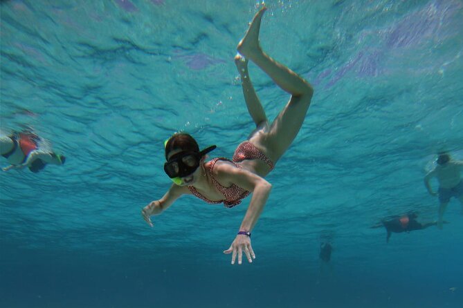 Starfish, Stingrays and the Turtle Bay Experience by Catamaran - Marine Wildlife Sightings