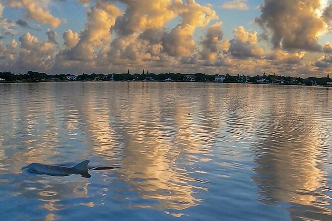 Sunrise Paddle Boarding Adventure in Jupiter - Customer Reviews and Feedback