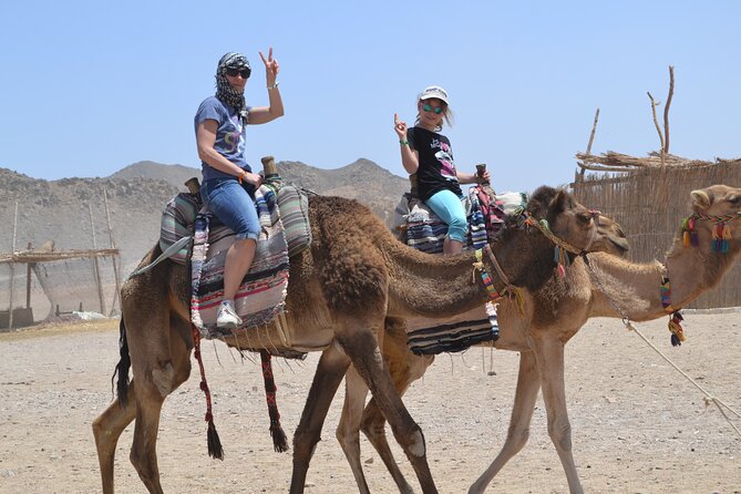 Super ATV Quad Bike Safari & Camel Ride With Transfer - Hurghada - Booking and Cancellation Policy