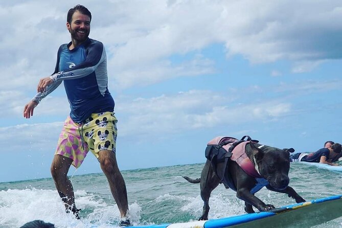 Surf With a Service Animal - Tips for a Great Experience