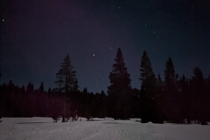 Tahoe National Forest Moonlight Snowshoe Tour Under a Starry Sky - Things To Known