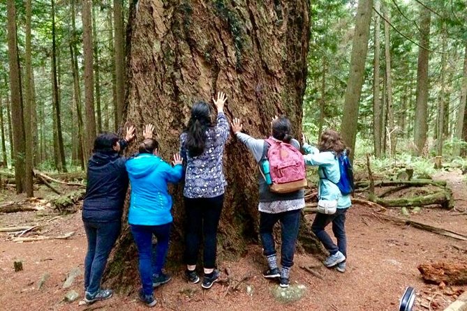 Talking Trees: Stanley Park Indigenous Walking Tour Led by a First Nations Guide - Tips for Future Participants