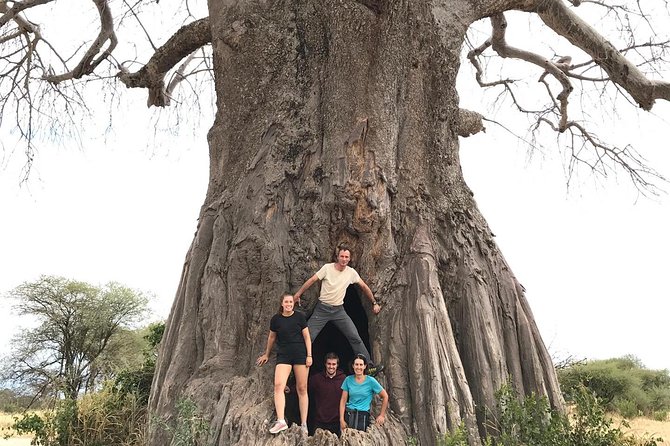 Tanzania Trip Amazing Tarangire Ngorongoro and Manyara - Accessibility and Participation Options