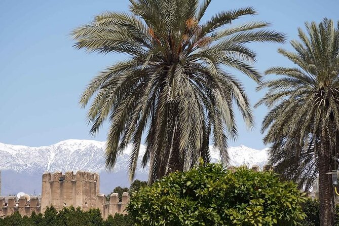 Taroudant The Old Fortified City Private Half Day - Frequently Asked Questions