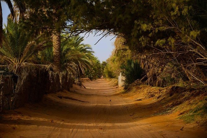 Tatouine - Cheneni - Ksar Ghuilaine - Matmata: 2 Days Visit - Guide Quality Insights